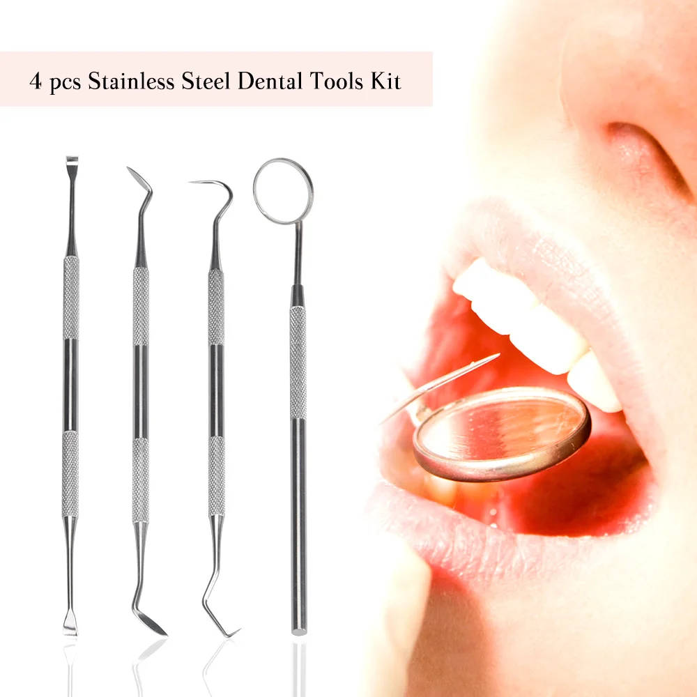 4 pçs/set tártaro raspador ras - Urban Farming System avaliação e preço