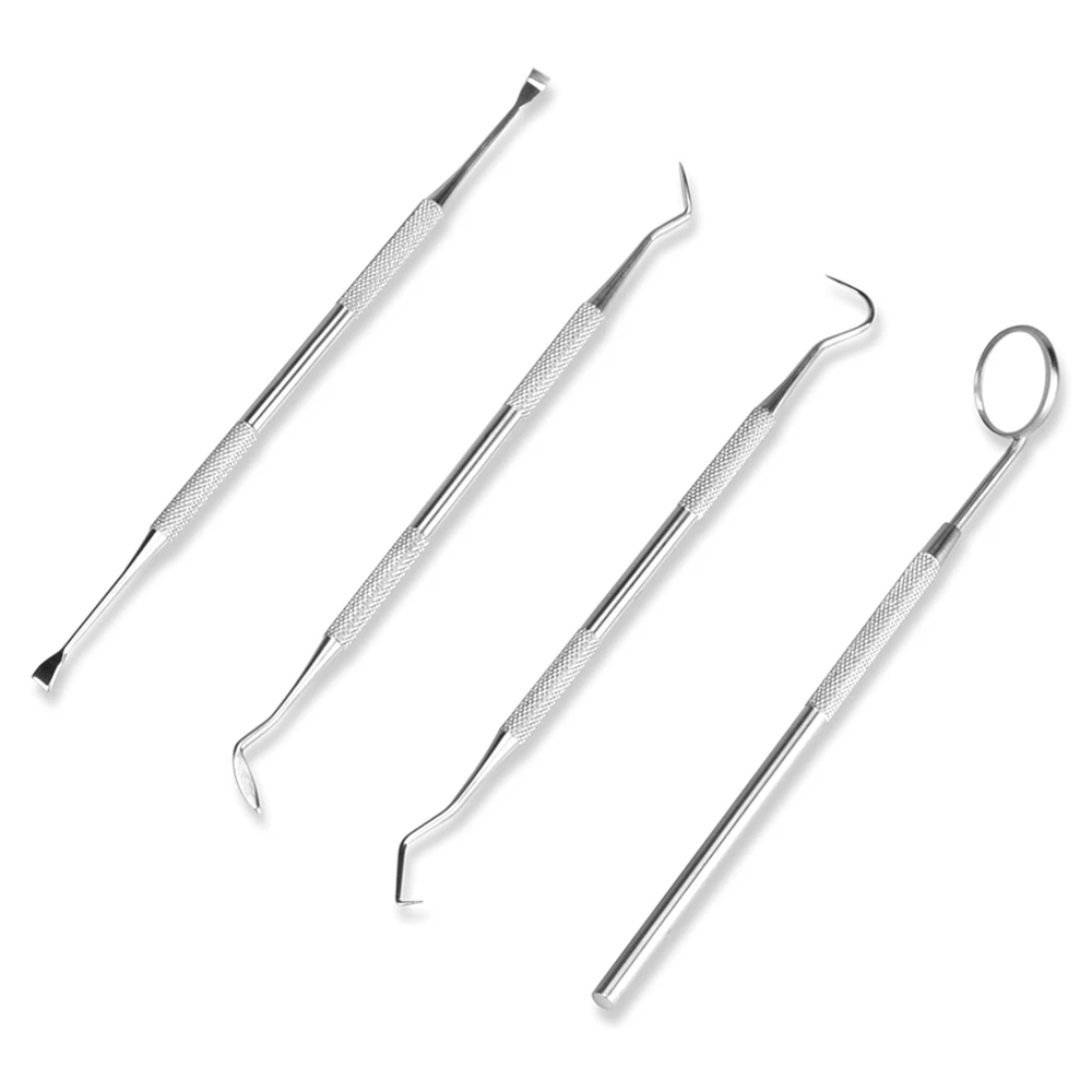 4 pçs/set tártaro raspador ras - Urban Farming System avaliação e preço